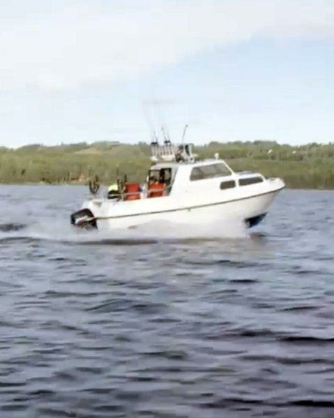 Trykk her for å se aktiviteten