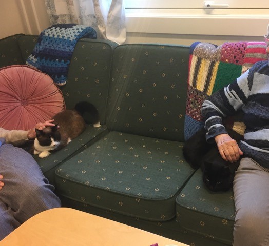 Trykk her for å se aktiviteten