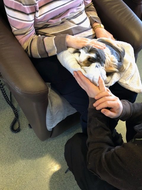 Trykk her for å se aktiviteten