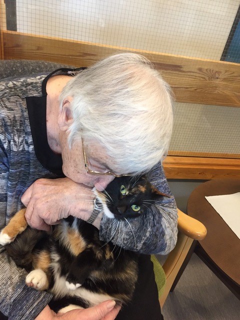 Trykk her for å se aktiviteten