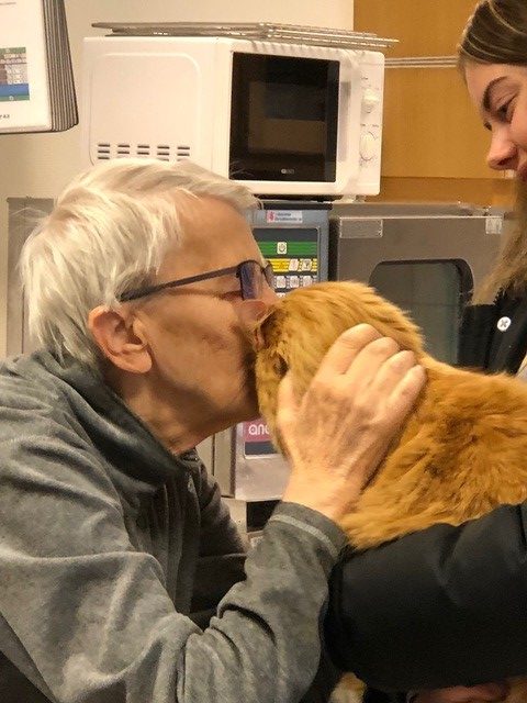 Trykk her for å se aktiviteten