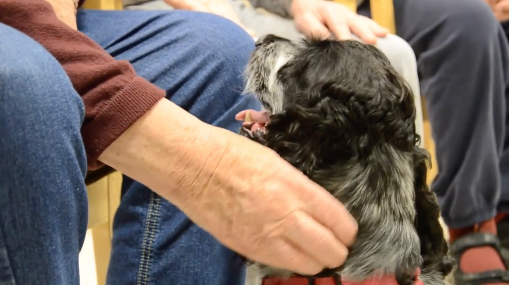 Trykk her for å se aktiviteten