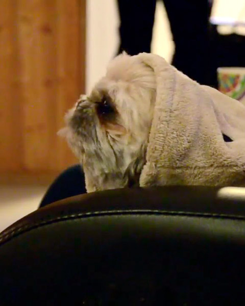 Trykk her for å se aktiviteten