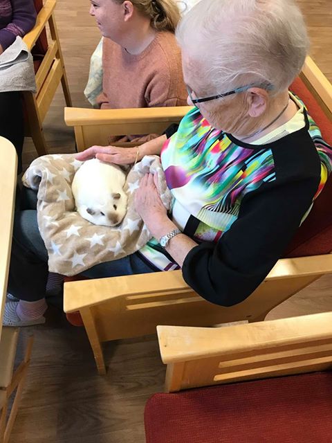 Trykk her for å se aktiviteten