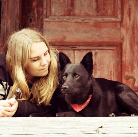 Trykk her for å se aktiviteten