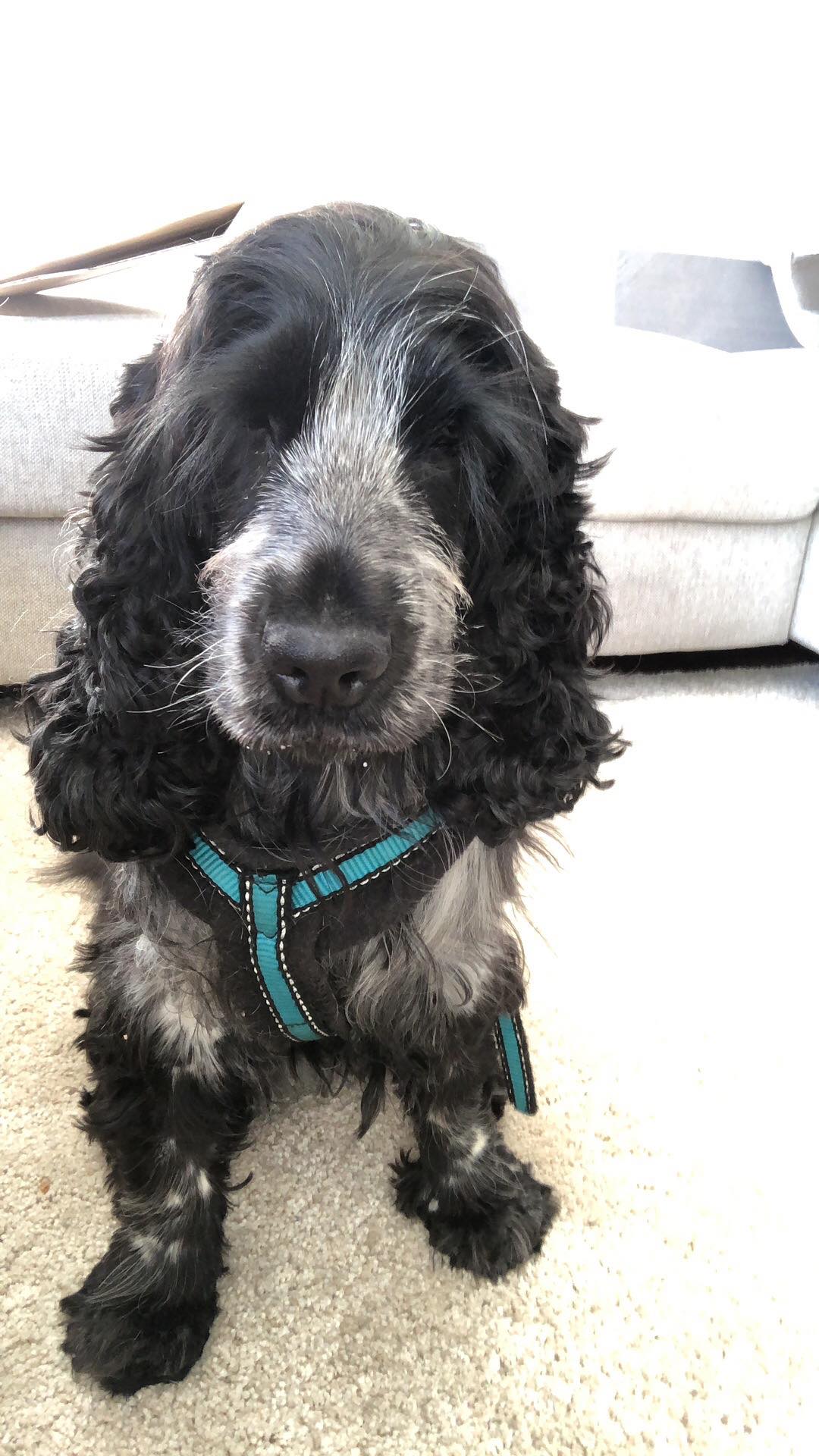 Trykk her for å se aktiviteten