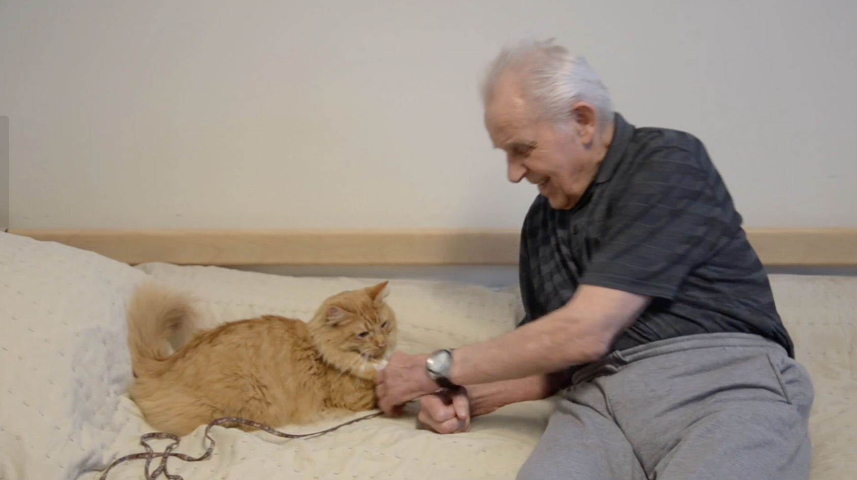 Trykk her for å se aktiviteten