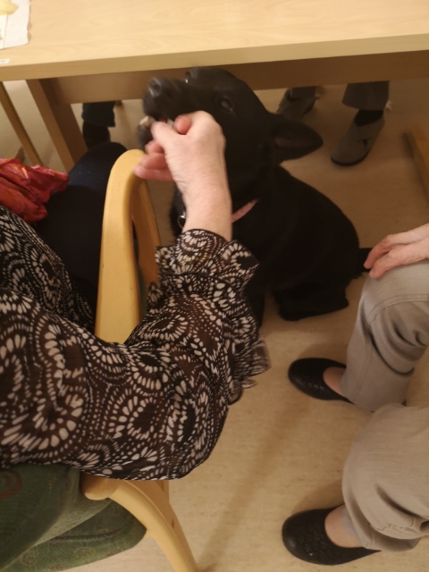 Trykk her for å se aktiviteten