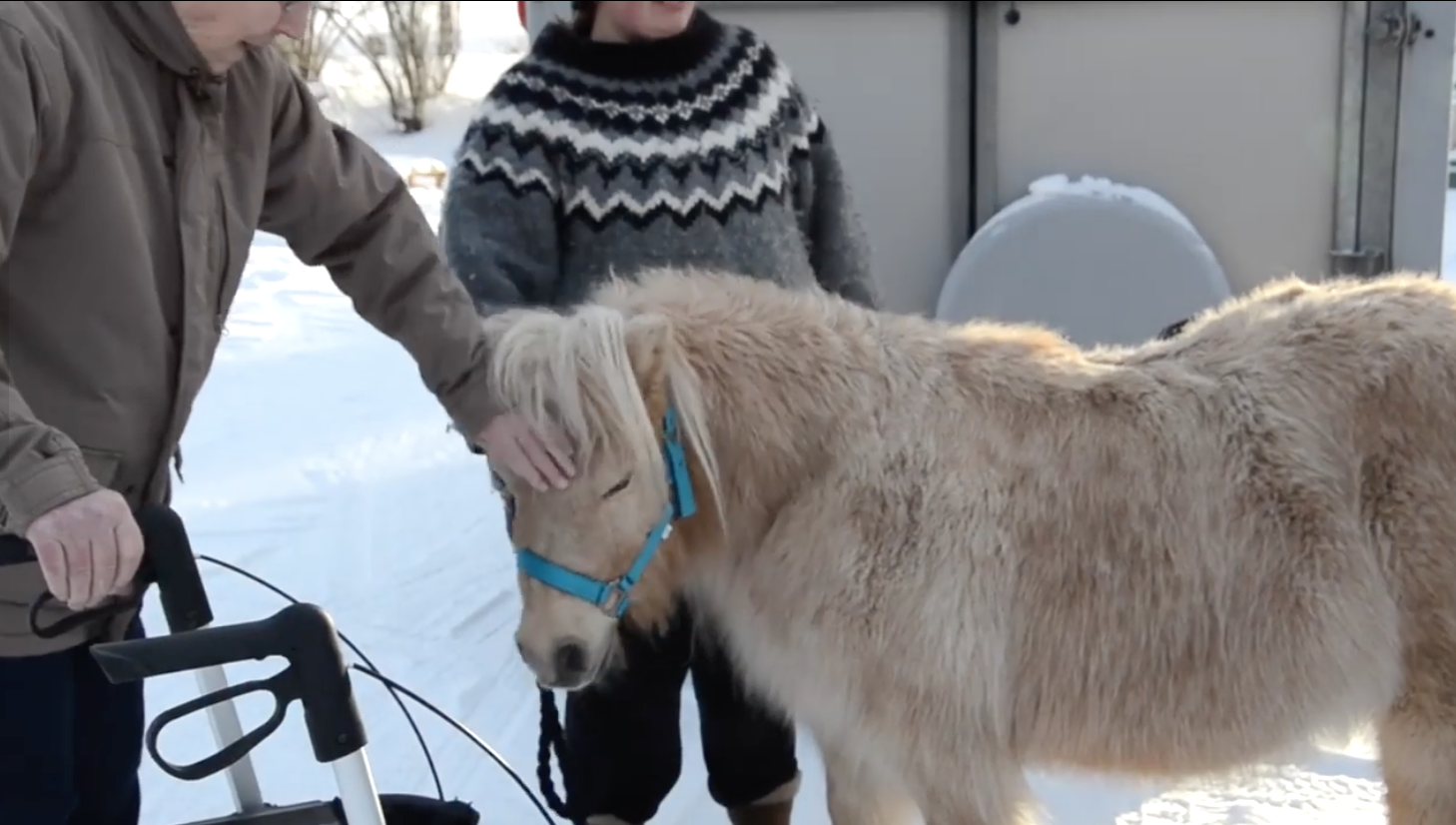 Trykk her for å se aktiviteten