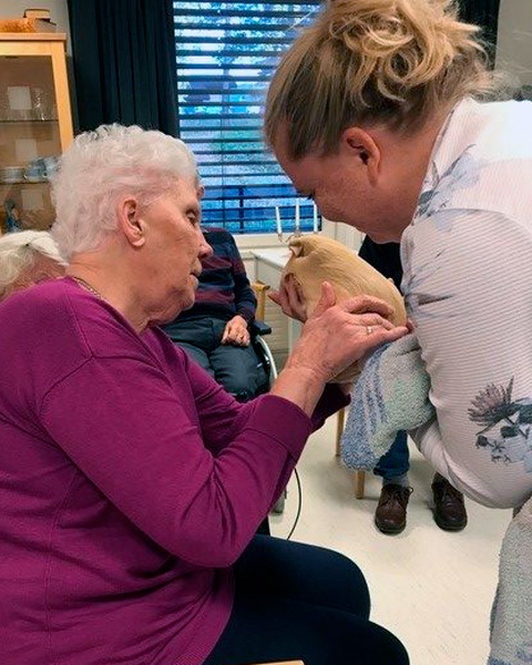 Trykk her for å se aktiviteten