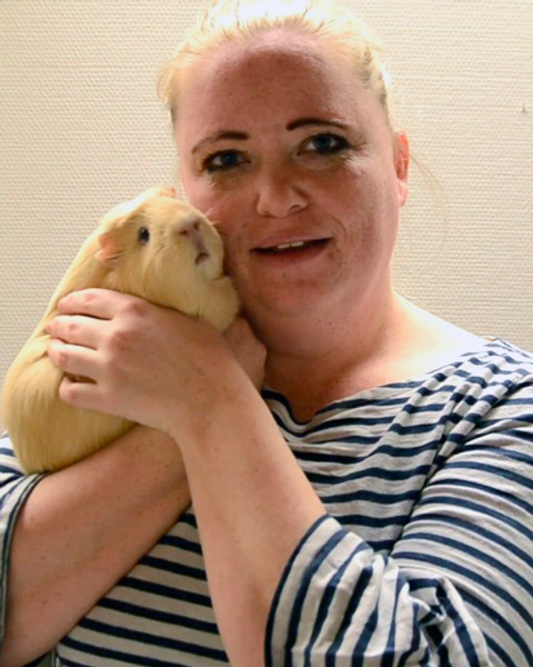 Trykk her for å se aktiviteten