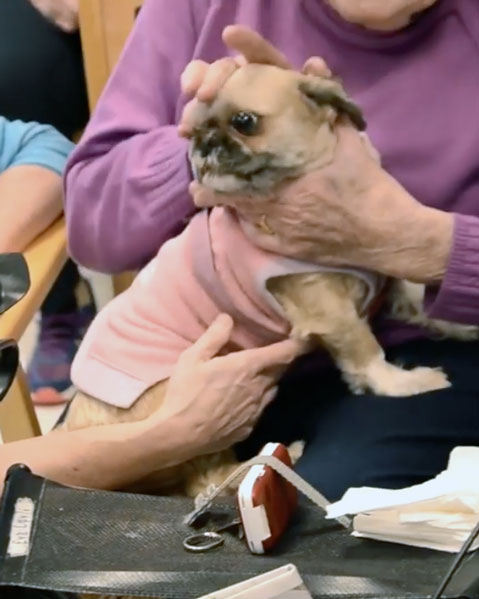 Trykk her for å se aktiviteten