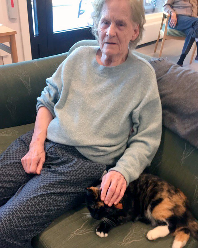 Trykk her for å se aktiviteten