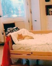 Trykk her for å se aktiviteten