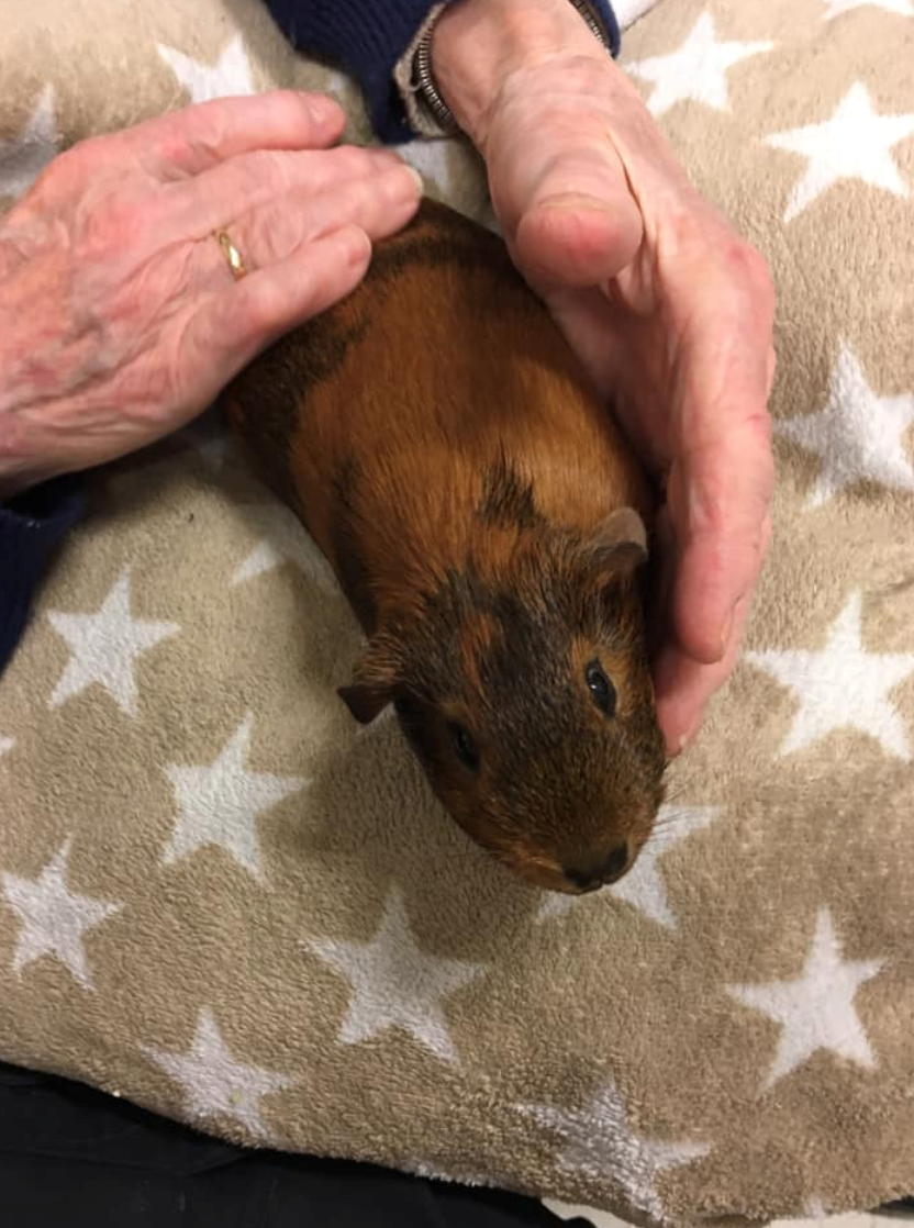 Trykk her for å se aktiviteten