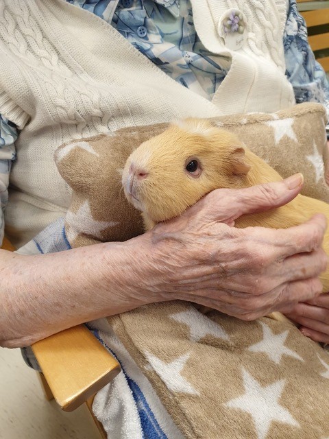 Trykk her for å se aktiviteten