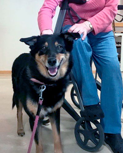 Trykk her for å se aktiviteten