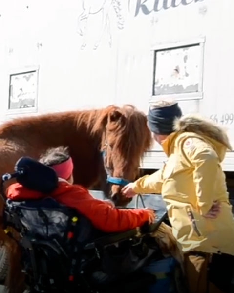 Trykk her for å se aktiviteten