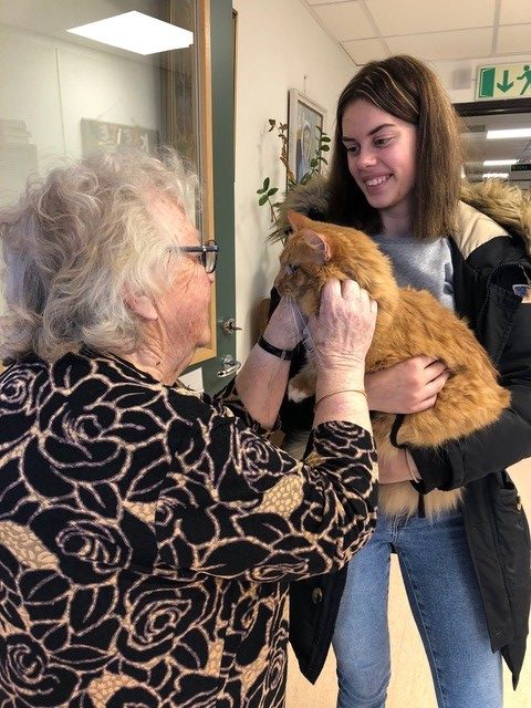 Trykk her for å se aktiviteten