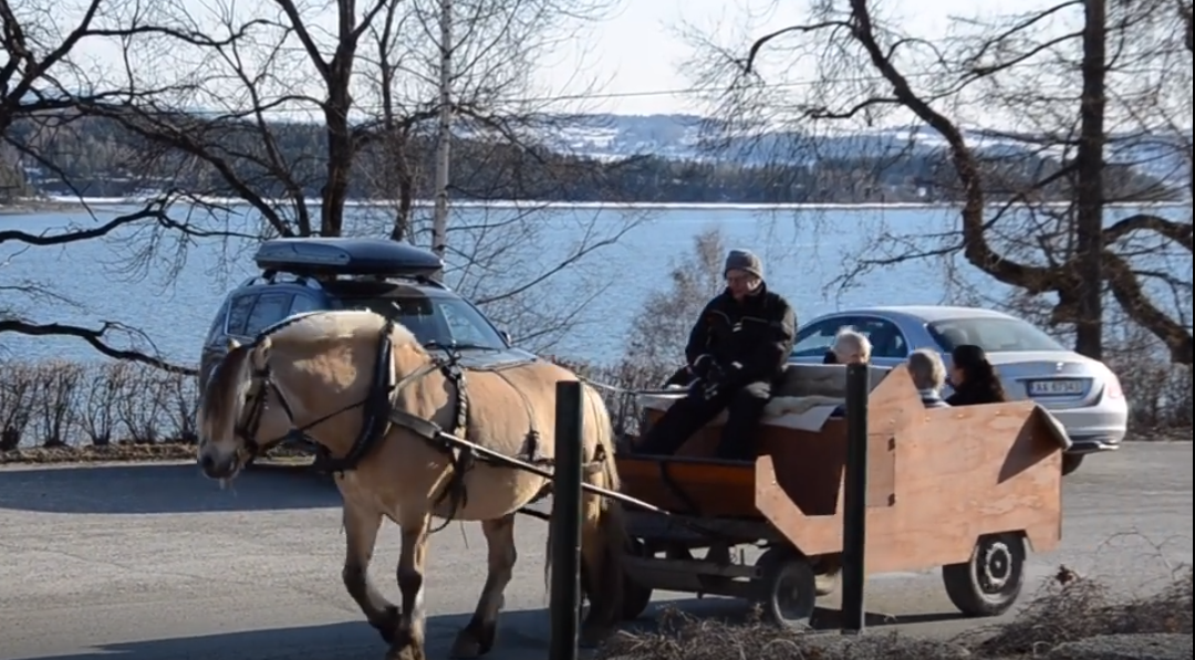 Trykk her for å se aktiviteten