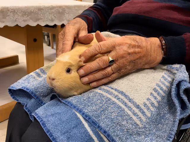 Trykk her for å se aktiviteten