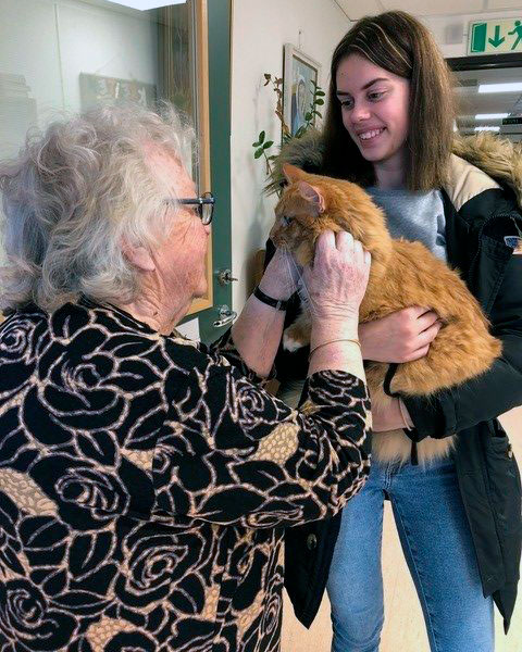 Trykk her for å se aktiviteten