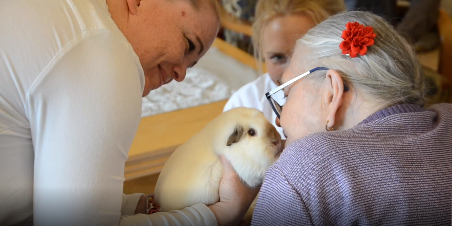 Trykk her for å se aktiviteten