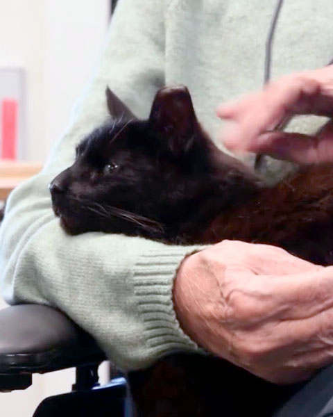 Trykk her for å se aktiviteten