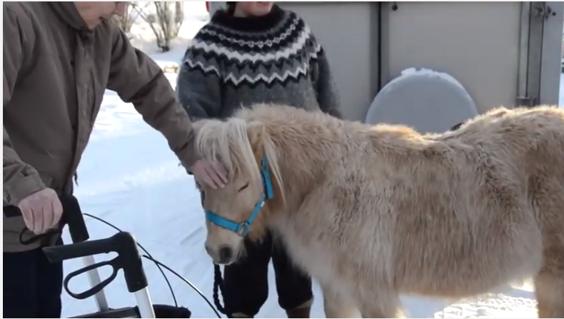 Trykk her for å se aktiviteten