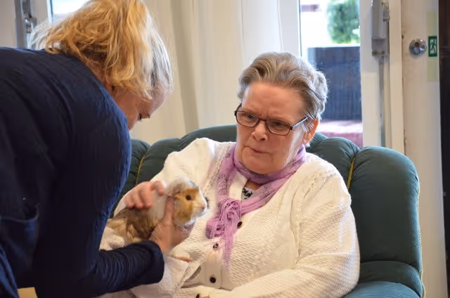 Trykk her for å se aktiviteten