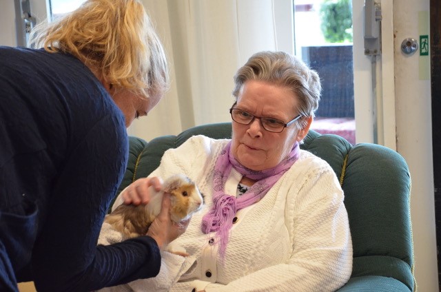 Trykk her for å se aktiviteten