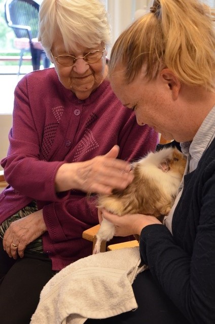 Trykk her for å se aktiviteten