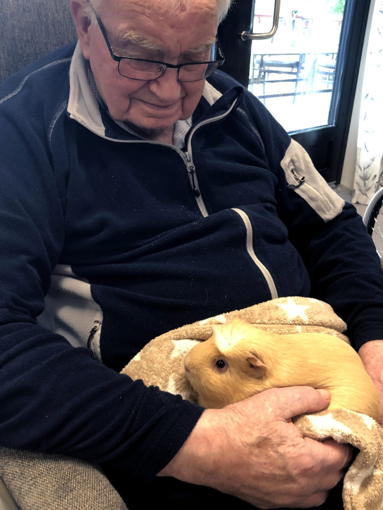 Trykk her for å se aktiviteten