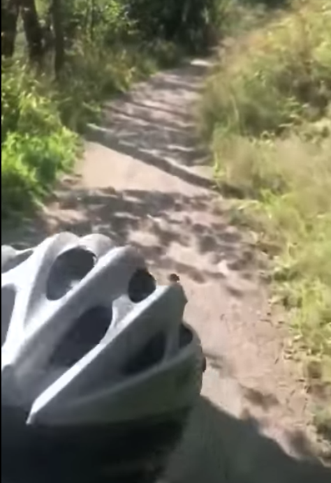 Trykk her for å se aktiviteten