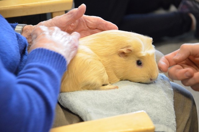 Trykk her for å se aktiviteten