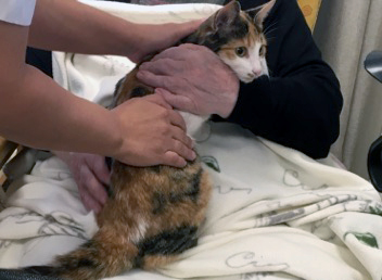 Trykk her for å se aktiviteten