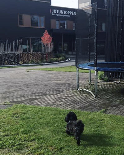 Trykk her for å se aktiviteten