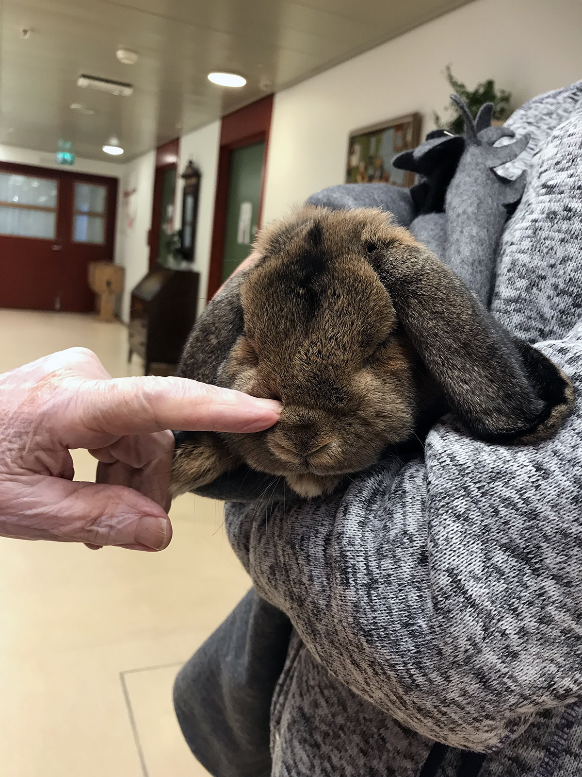 Trykk her for å se aktiviteten