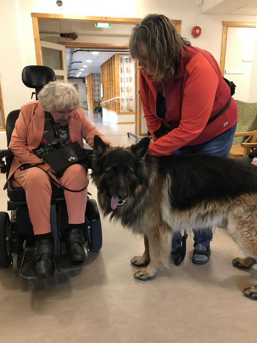 Trykk her for å se aktiviteten