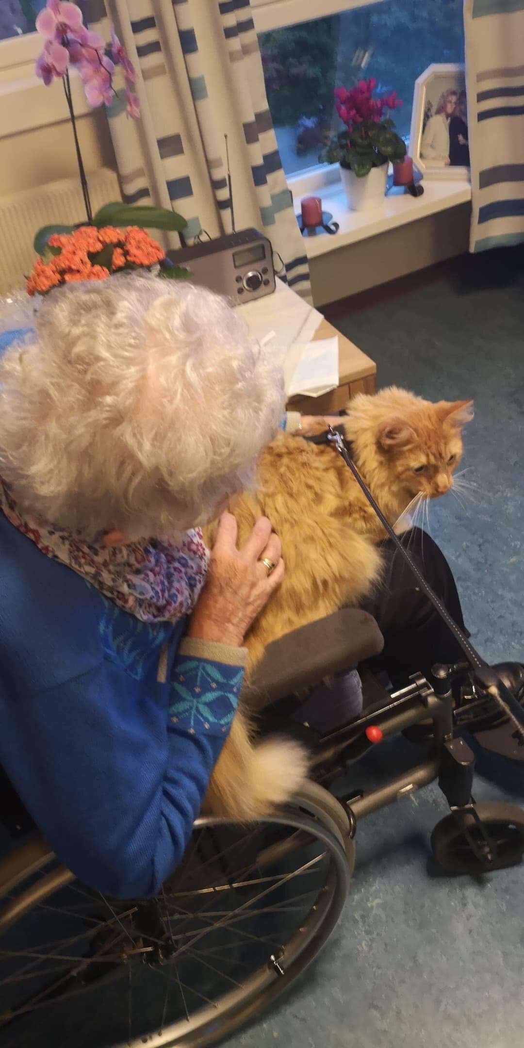 Trykk her for å se aktiviteten