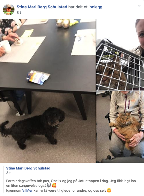 Trykk her for å se aktiviteten