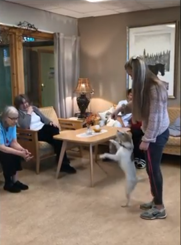 Trykk her for å se aktiviteten