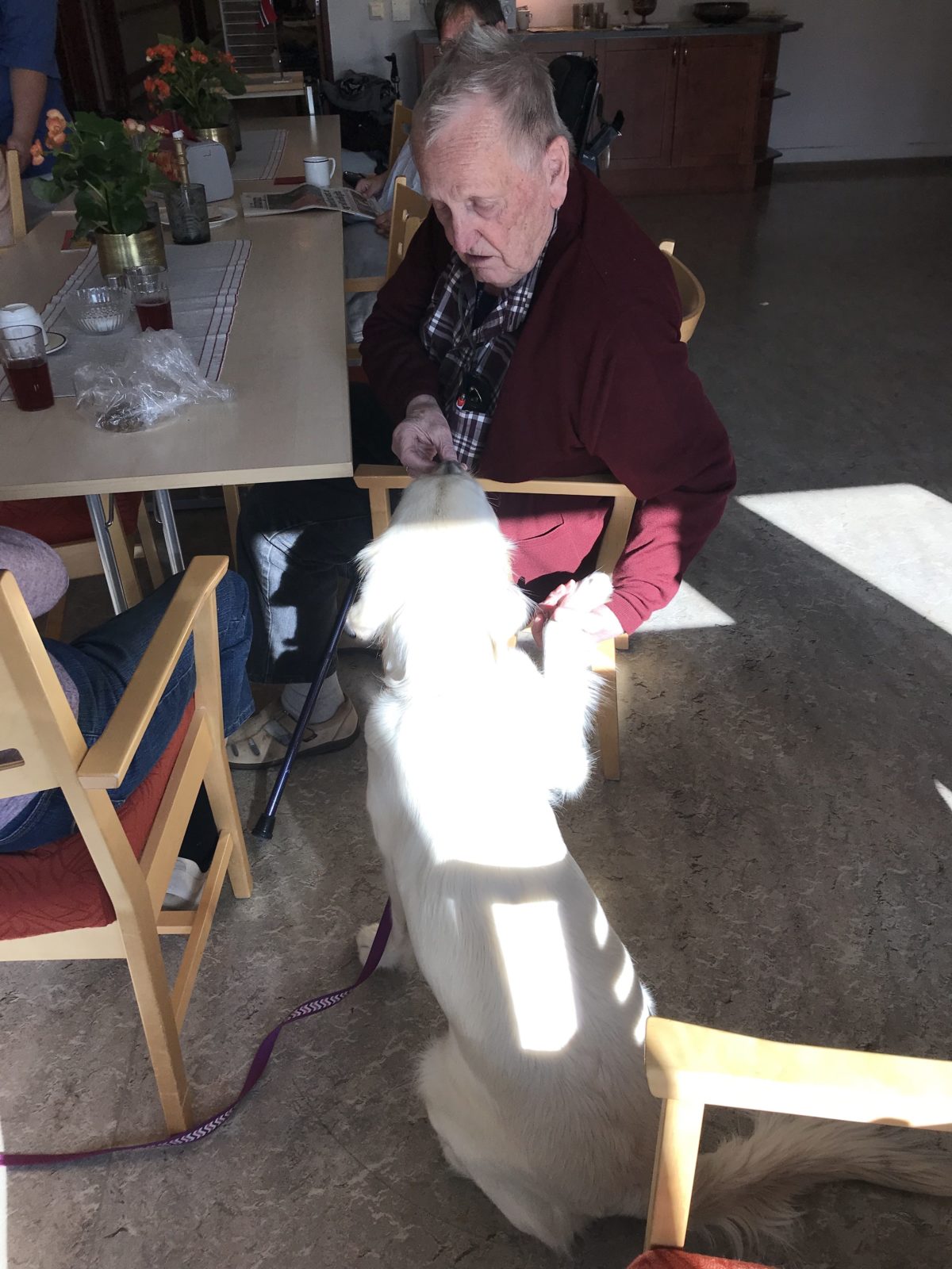 Trykk her for å se aktiviteten