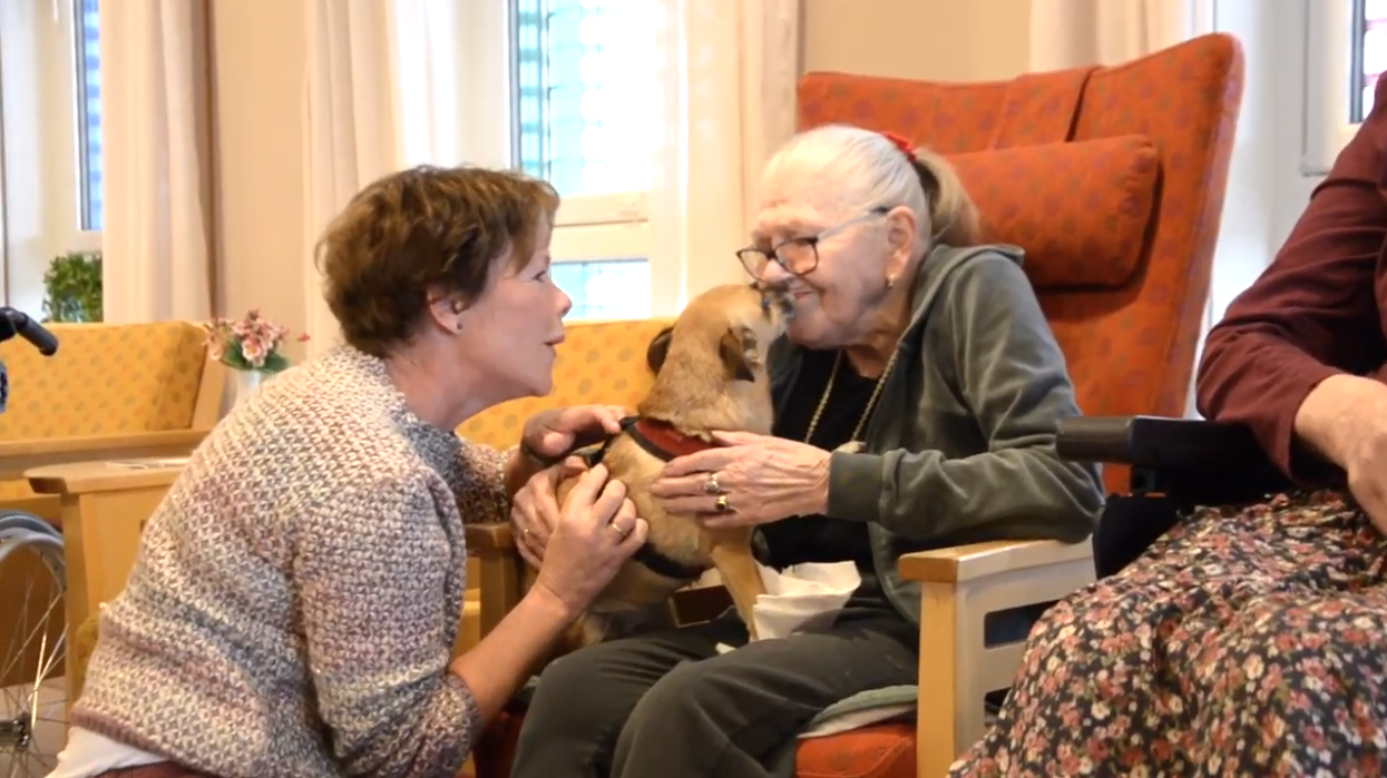 Trykk her for å se aktiviteten