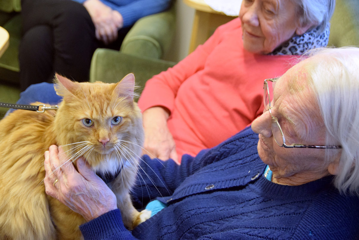 Trykk her for å se aktiviteten