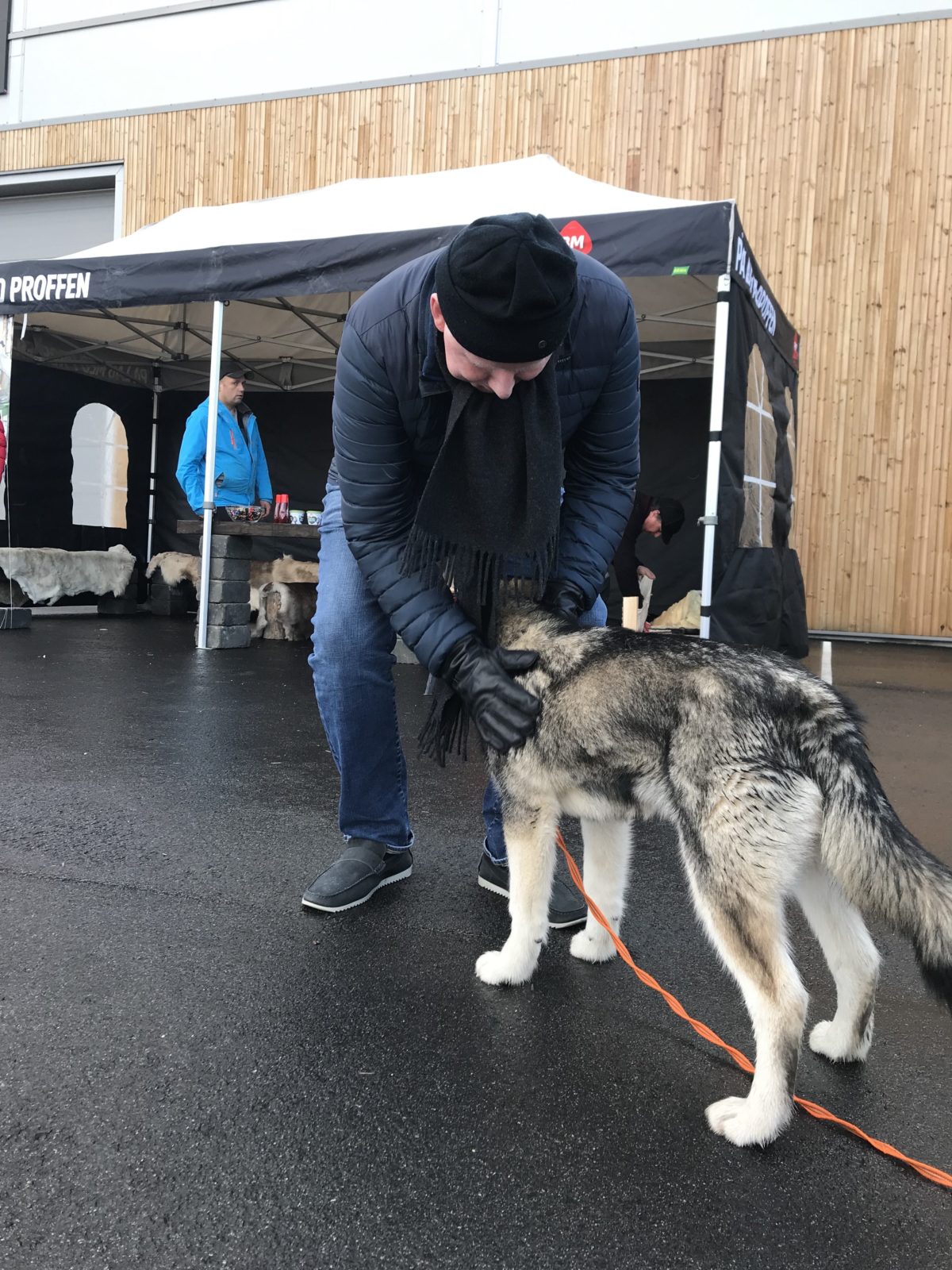 Trykk her for å se aktiviteten