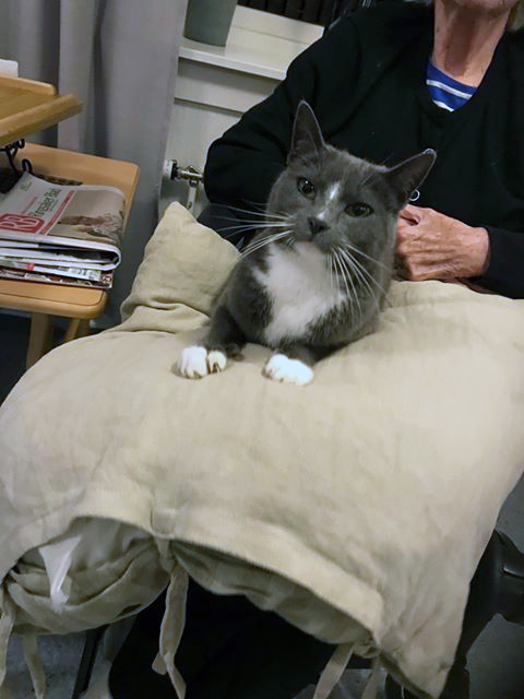 Trykk her for å se aktiviteten