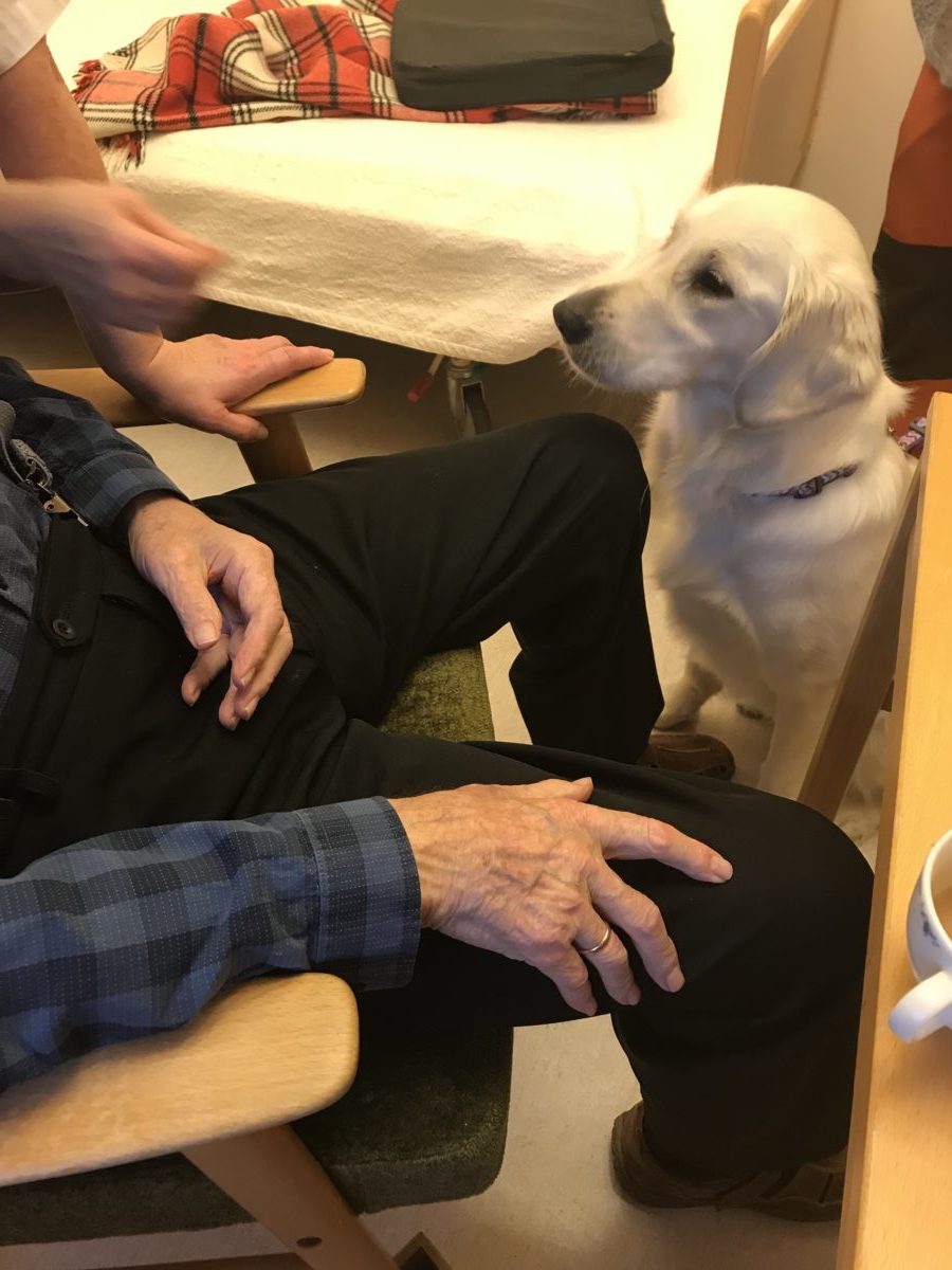 Trykk her for å se aktiviteten