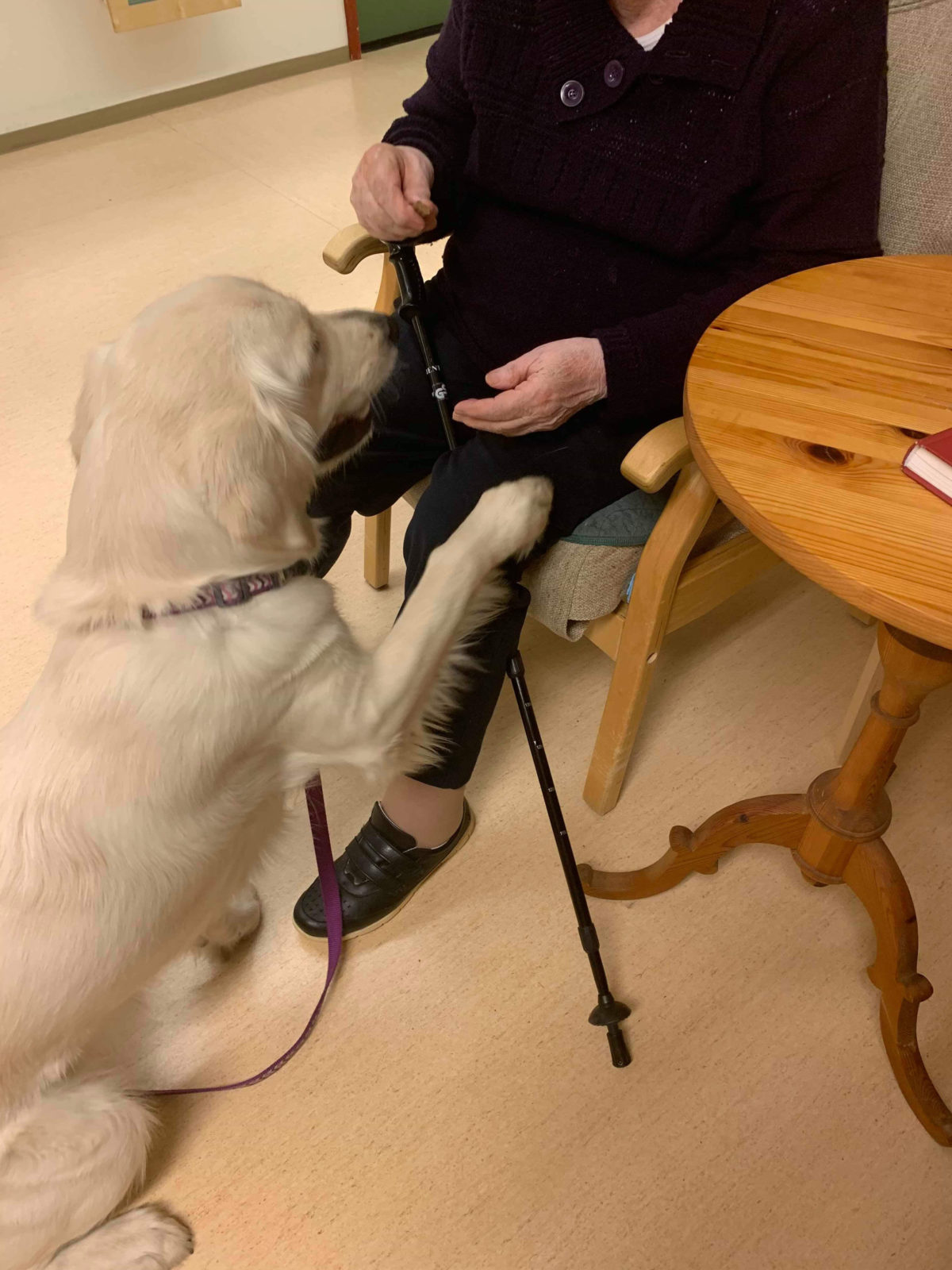 Trykk her for å se aktiviteten