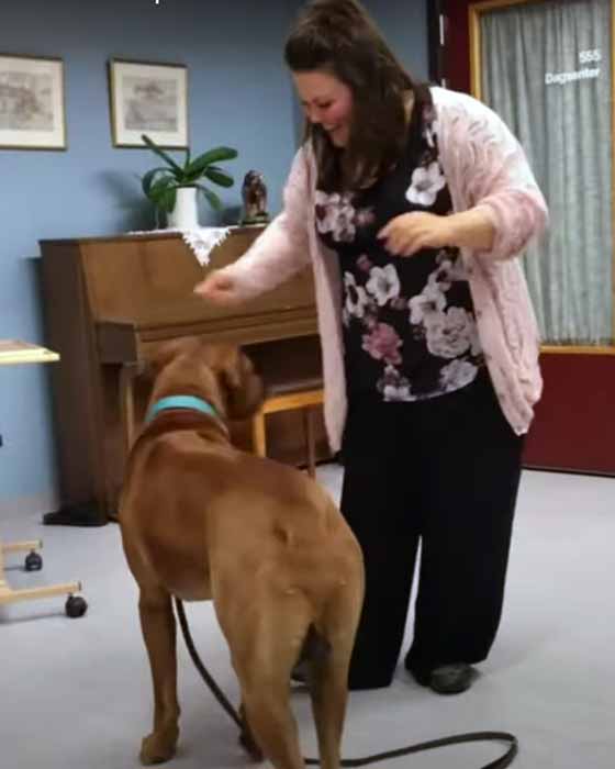 Trykk her for å se aktiviteten